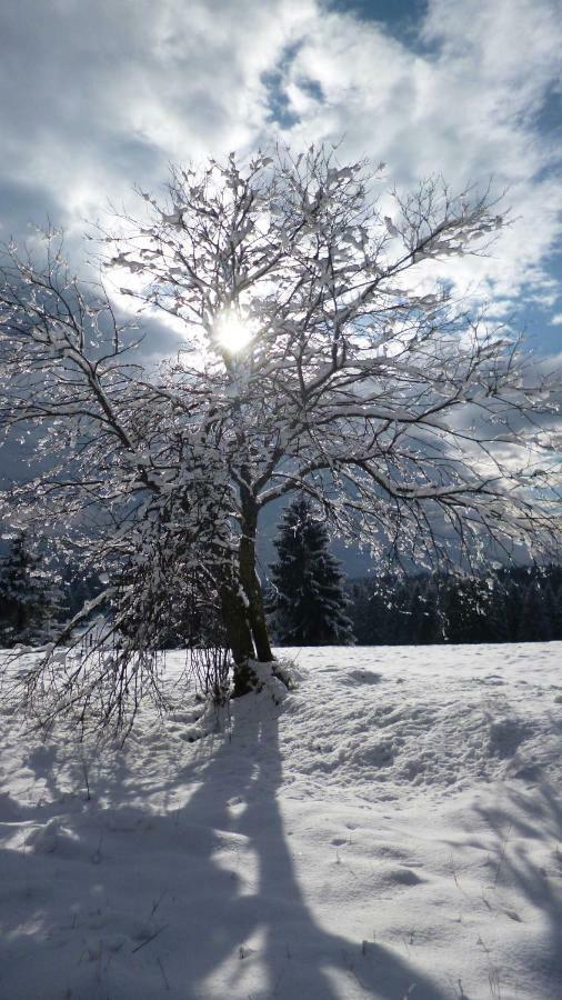 Ferienhaus Lyhs Fehrenbach Zewnętrze zdjęcie